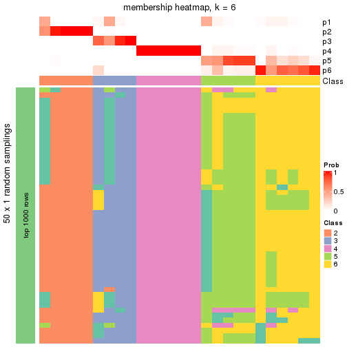 plot of chunk tab-node-031-membership-heatmap-5