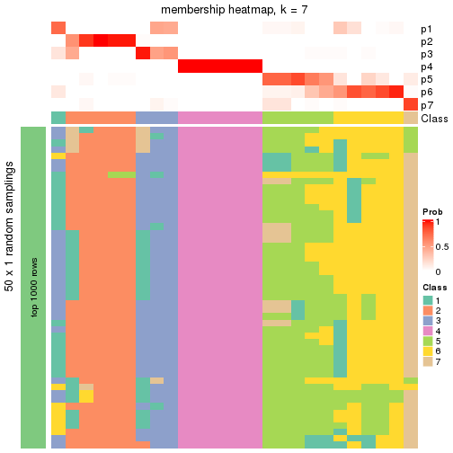 plot of chunk tab-node-031-membership-heatmap-6