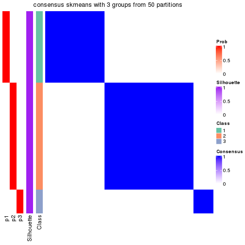 plot of chunk tab-node-0311-consensus-heatmap-2