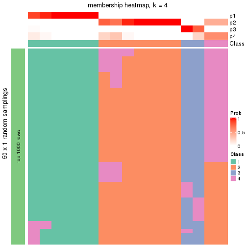 plot of chunk tab-node-0311-membership-heatmap-3