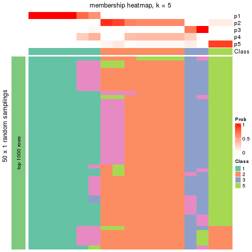 plot of chunk tab-node-0311-membership-heatmap-4