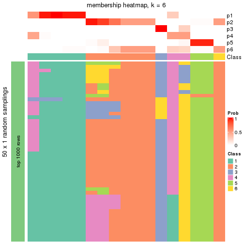 plot of chunk tab-node-0311-membership-heatmap-5