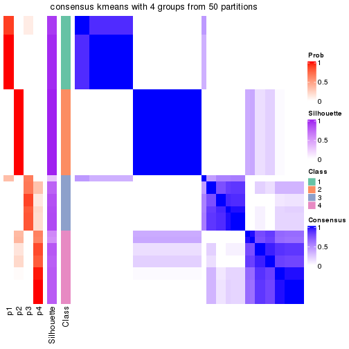 plot of chunk tab-node-032-consensus-heatmap-3