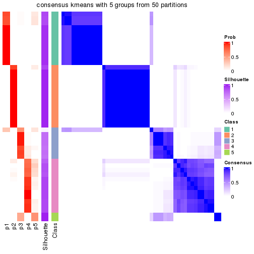 plot of chunk tab-node-032-consensus-heatmap-4