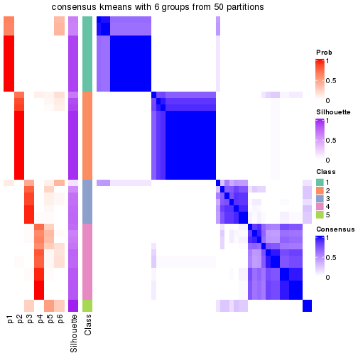 plot of chunk tab-node-032-consensus-heatmap-5