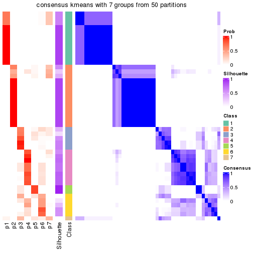 plot of chunk tab-node-032-consensus-heatmap-6