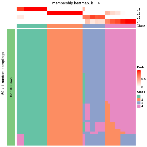 plot of chunk tab-node-032-membership-heatmap-3