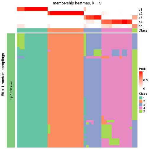 plot of chunk tab-node-032-membership-heatmap-4