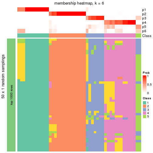 plot of chunk tab-node-032-membership-heatmap-5