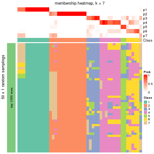 plot of chunk tab-node-032-membership-heatmap-6