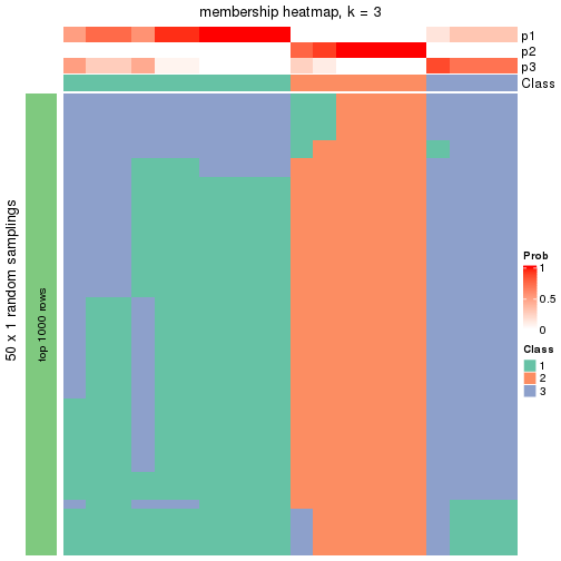 plot of chunk tab-node-0322-membership-heatmap-2