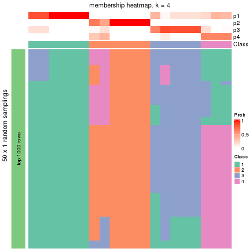 plot of chunk tab-node-0322-membership-heatmap-3