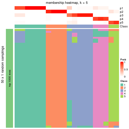 plot of chunk tab-node-0322-membership-heatmap-4