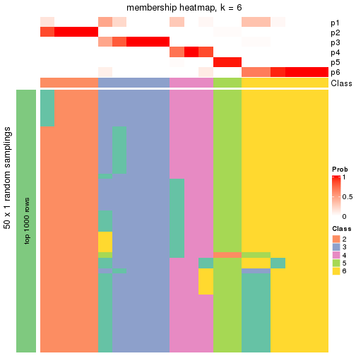 plot of chunk tab-node-0322-membership-heatmap-5