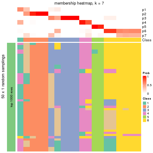 plot of chunk tab-node-0322-membership-heatmap-6