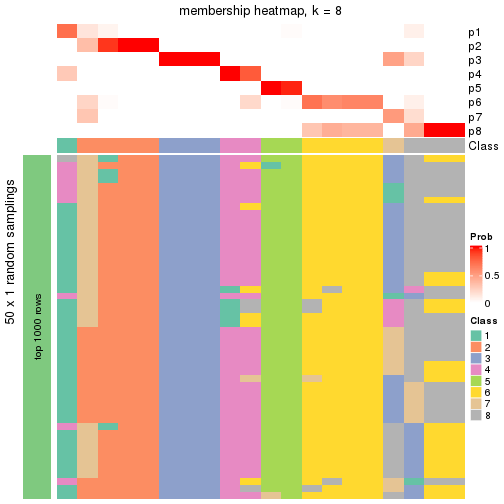 plot of chunk tab-node-0322-membership-heatmap-7