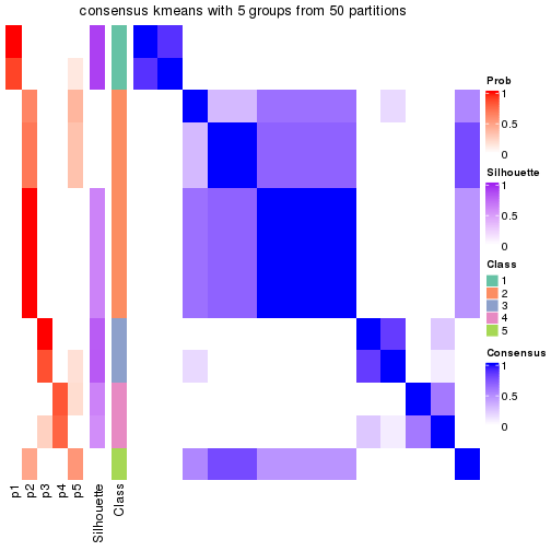 plot of chunk tab-node-0323-consensus-heatmap-4