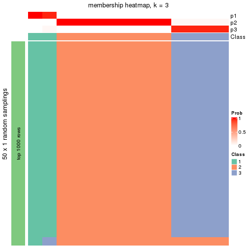 plot of chunk tab-node-0323-membership-heatmap-2