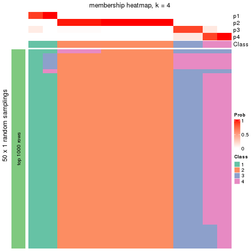 plot of chunk tab-node-0323-membership-heatmap-3