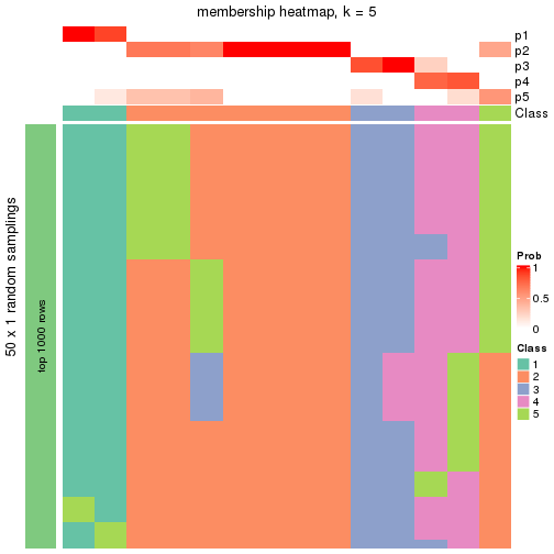 plot of chunk tab-node-0323-membership-heatmap-4