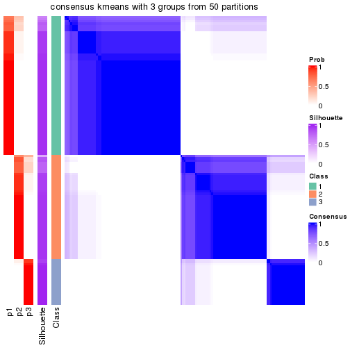 plot of chunk tab-node-04-consensus-heatmap-2