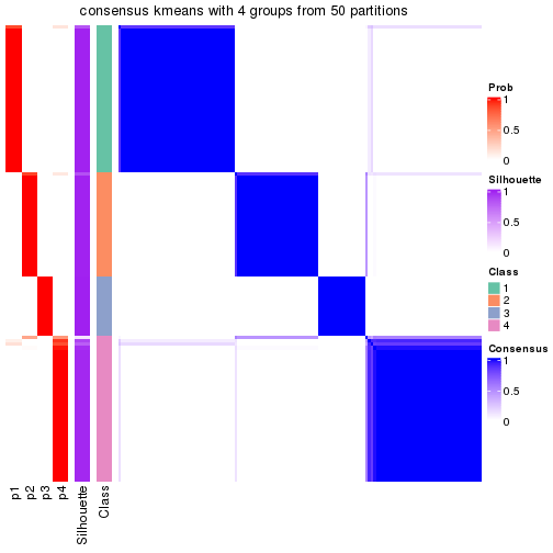 plot of chunk tab-node-04-consensus-heatmap-3