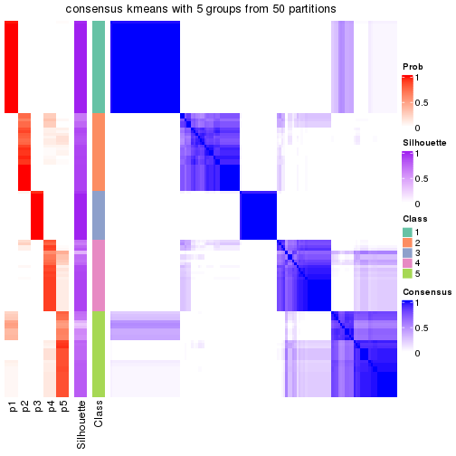 plot of chunk tab-node-04-consensus-heatmap-4