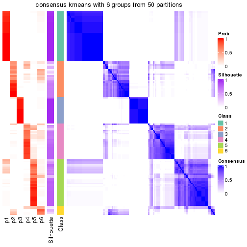 plot of chunk tab-node-04-consensus-heatmap-5