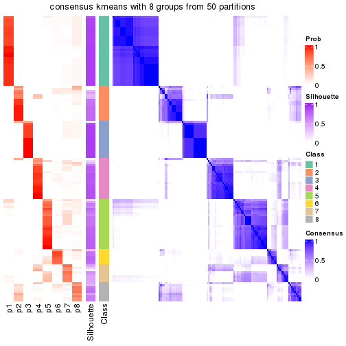 plot of chunk tab-node-04-consensus-heatmap-7