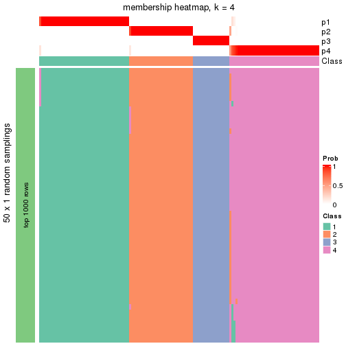 plot of chunk tab-node-04-membership-heatmap-3