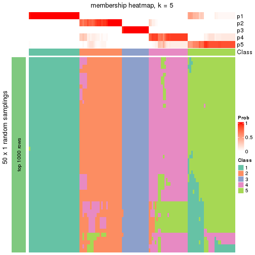 plot of chunk tab-node-04-membership-heatmap-4