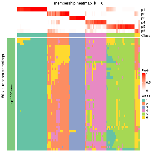 plot of chunk tab-node-04-membership-heatmap-5