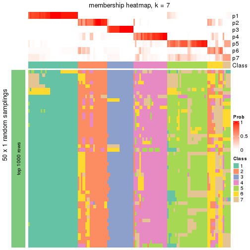 plot of chunk tab-node-04-membership-heatmap-6