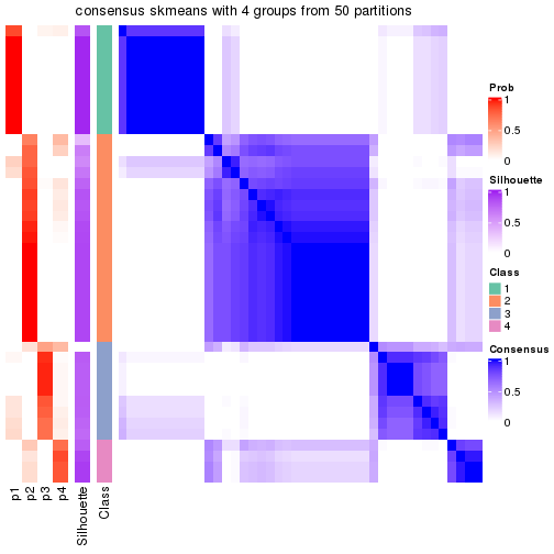 plot of chunk tab-node-041-consensus-heatmap-3