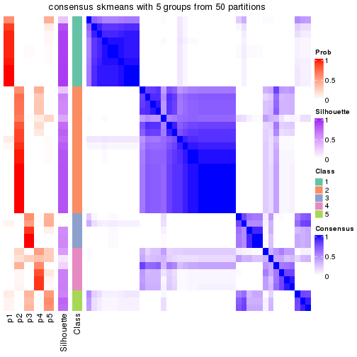 plot of chunk tab-node-041-consensus-heatmap-4