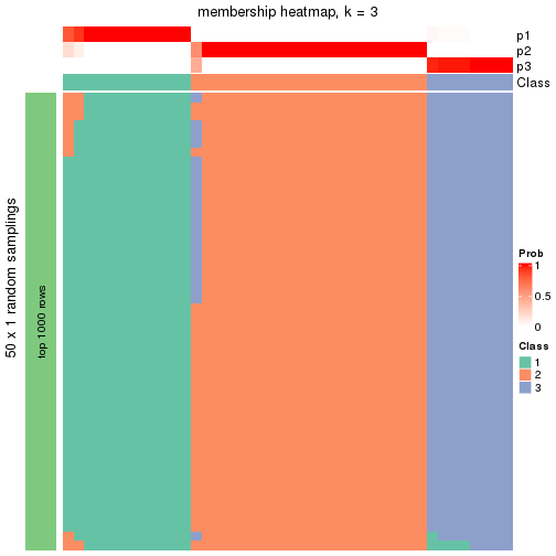 plot of chunk tab-node-041-membership-heatmap-2