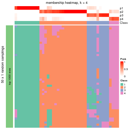 plot of chunk tab-node-041-membership-heatmap-3