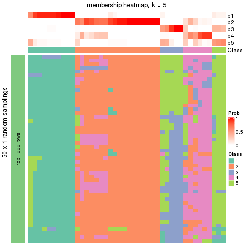 plot of chunk tab-node-041-membership-heatmap-4