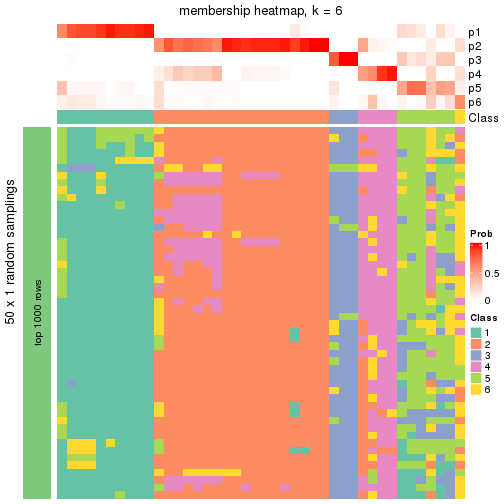 plot of chunk tab-node-041-membership-heatmap-5