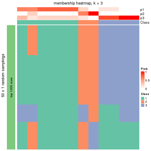 plot of chunk tab-node-0411-membership-heatmap-2