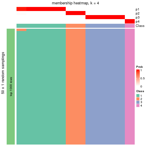 plot of chunk tab-node-0411-membership-heatmap-3