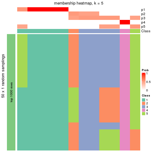 plot of chunk tab-node-0411-membership-heatmap-4