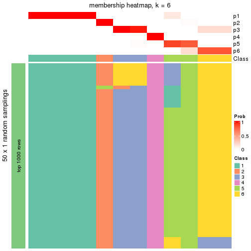 plot of chunk tab-node-0411-membership-heatmap-5