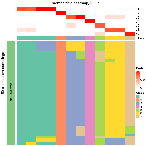 plot of chunk tab-node-0411-membership-heatmap-6