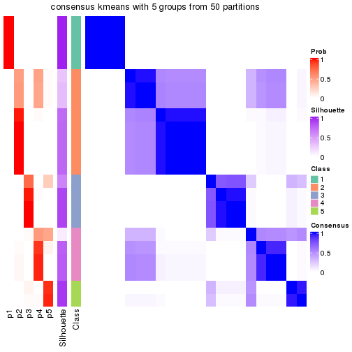 plot of chunk tab-node-0412-consensus-heatmap-4