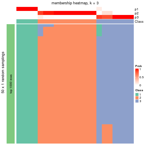 plot of chunk tab-node-0412-membership-heatmap-2