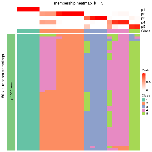 plot of chunk tab-node-0412-membership-heatmap-4