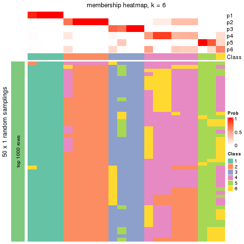 plot of chunk tab-node-0412-membership-heatmap-5