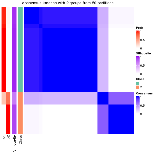 plot of chunk tab-node-042-consensus-heatmap-1