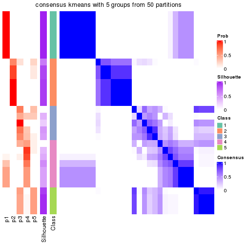 plot of chunk tab-node-042-consensus-heatmap-4